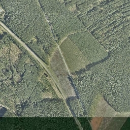 Satelita