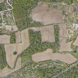 Satelita