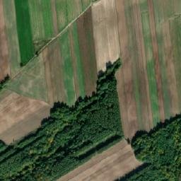 Powiat tomaszowski map(satellite map)