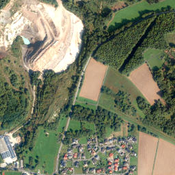 Ruppach-Goldhausen map(satellite map)