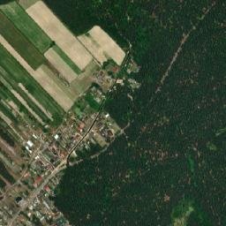 Satelita