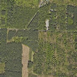 Satelita