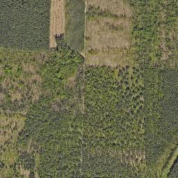 Satelita