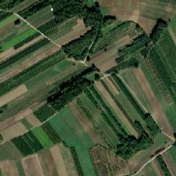 Powiat buski map(satellite map)