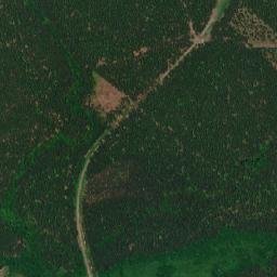 Satelita