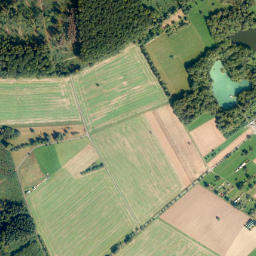 Großholbach map(satellite map)