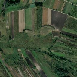 Satelita