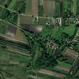 Satelita