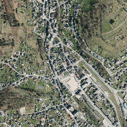 Steinach map(satellite map)