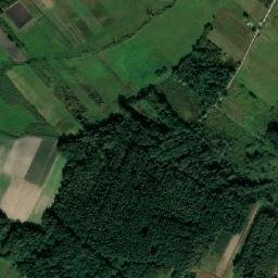 Satelita