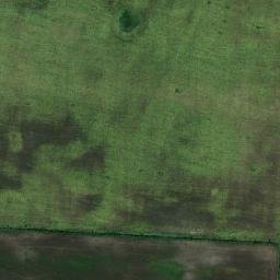 Chernyakhivskyy Rayon map(satellite map)