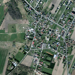 Januszkowice map(satellite map)