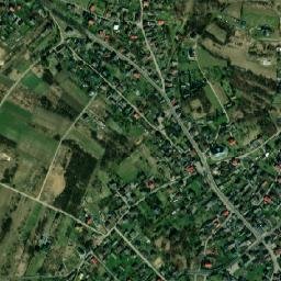 Niegowonice map(satellite map)