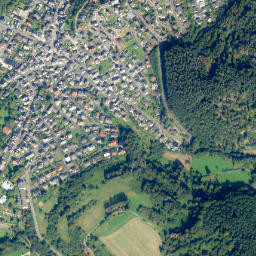 Arzbach map(satellite map)