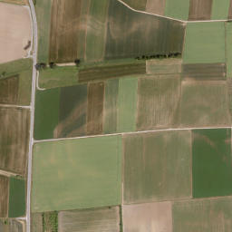 Höchheim map(satellite map)
