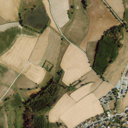 Trogen map(satellite map)