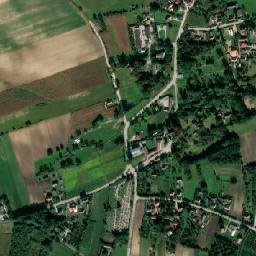Czarnocin map(satellite map)