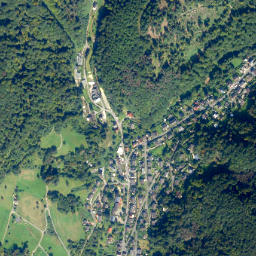Dausenau map(satellite map)