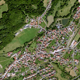 Riedenberg map(satellite map)
