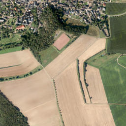 Lonnig map(satellite map)