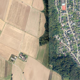 Kobern-Gondorf map(satellite map)
