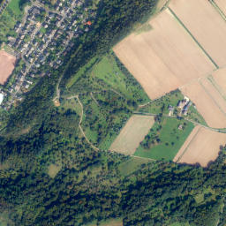 Niederfell map(satellite map)