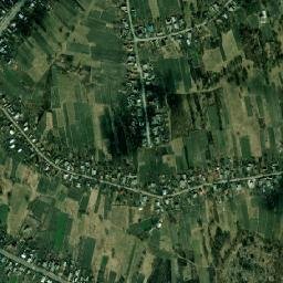 Brusyliv map(satellite map)