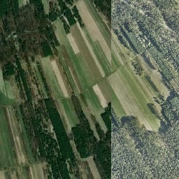 Satelita