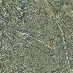 Satelita