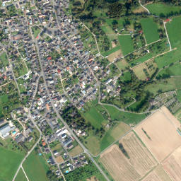 Singhofen map(satellite map)