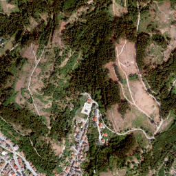 Wallenfels map(satellite map)