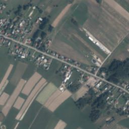 Dzikowiec map(satellite map)