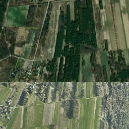 Satelita