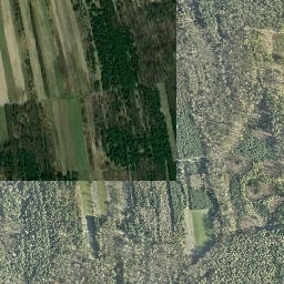 Satelita