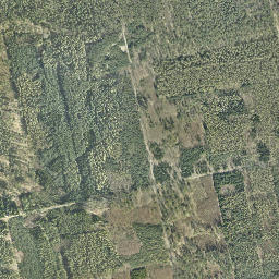 Satelita