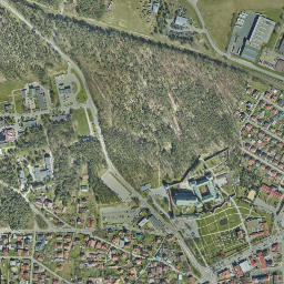 Satelita