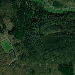 Waldems map(satellite map)