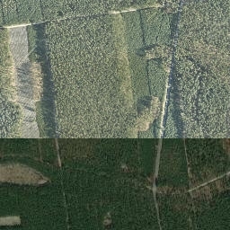 Satelita
