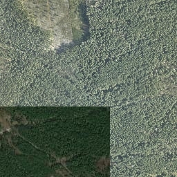 Satelita