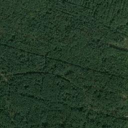 Zhytomyr Raion map(satellite map)