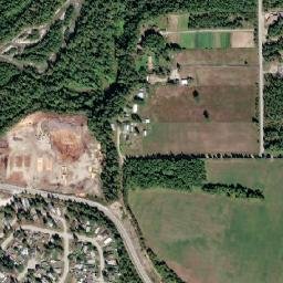 Nakusp map(satellite map)