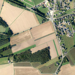 Laubach map(satellite map)