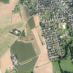 Miehlen map(satellite map)
