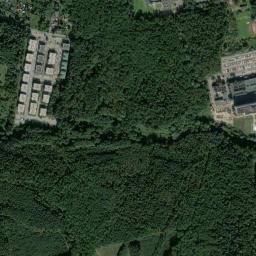 Satelita