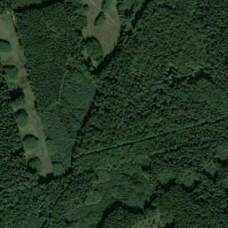 Satelita