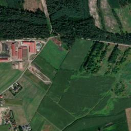 Satelita