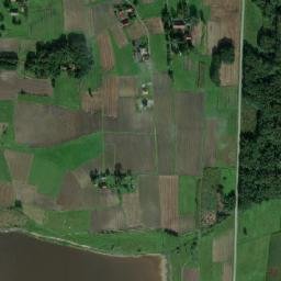 Satelita