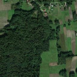 Satelita