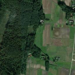 Satelita