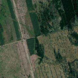 Satelita